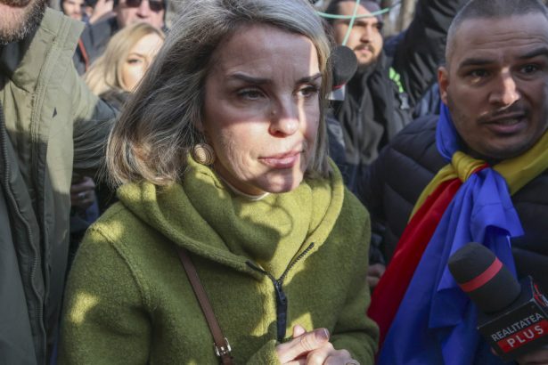 unul dintre bodyguarzii cristelei georgescu prins cu o arma de foc neletala la protestul din fata parchetului general 67bf5137535ec