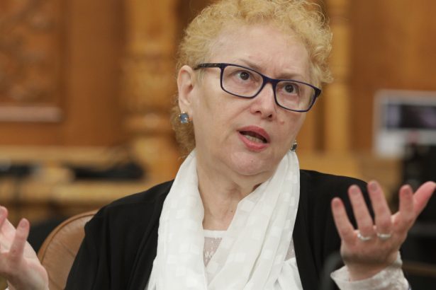 usr acuza psd si pnl ca blocheaza revocarea renatei weber din functia de avocat al poporului ocupa ilegal functia din iunie 2024 67be1864625c3