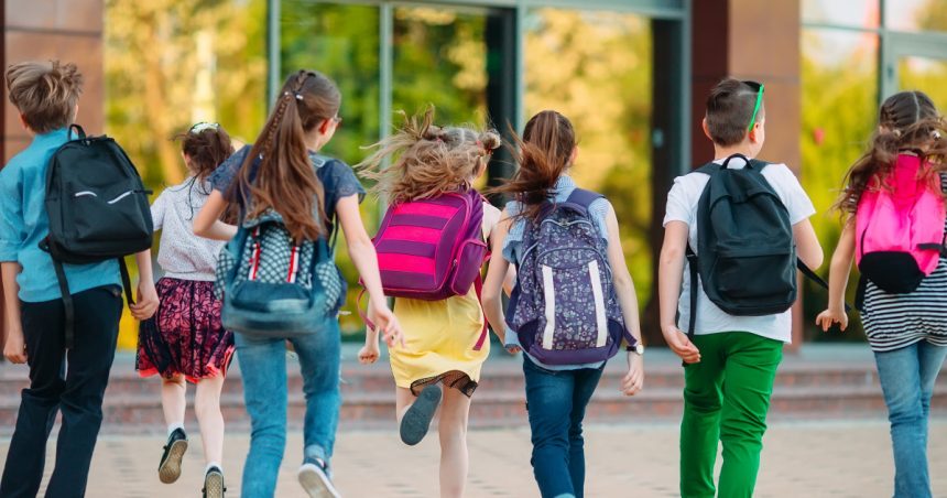 Vacanțele școlare 2025-2026: Programul zilelor libere pentru elevi și cea mai lungă perioadă de vacanță din an. 1 vacante scolare 2025 2026 cand sunt programate zilele libere pentru elevi care este cea mai lunga perioada de vacanta din an 67b2dc6dabfa4