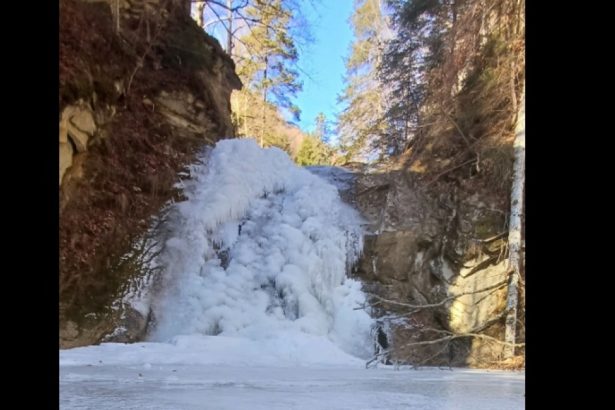 video cascada cosoca din buzau a inghetat imagini surprinse de un fost padurar 67b6ecd1a123c