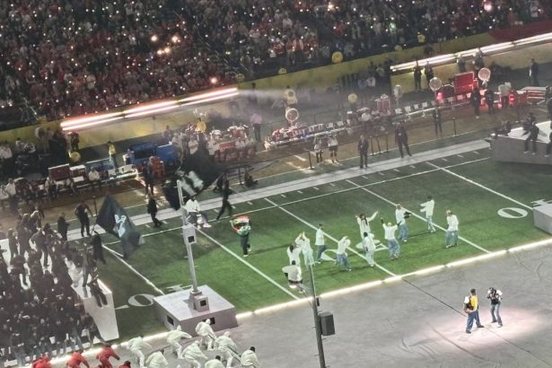 video ce nu s a vazut la show ul lui kendrick lamar de la super bowl un protestatar a urcat pe scena ce a urmat 67a99a87c8de3