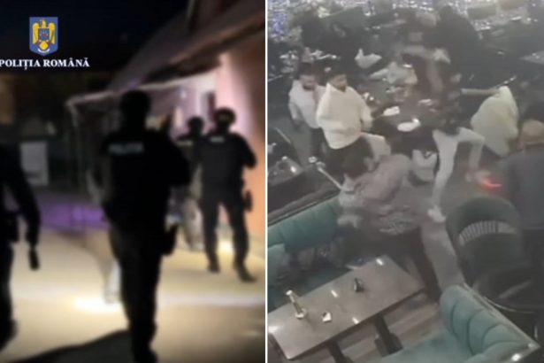 video descinderi la clanul duduienilor dupa o bataie intr un restaurant din capitala perchezitii in bucuresti si ialomita 67a202fa527bc
