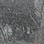 video ger lapovita si ninsori in bucuresti cum va fi vremea in restul tarii 67a48d3ff1692