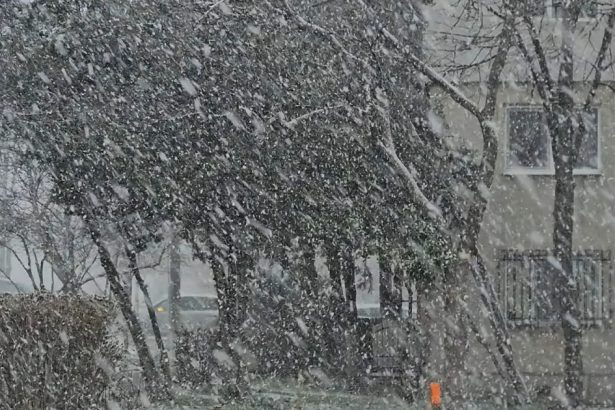 video ger lapovita si ninsori in bucuresti cum va fi vremea in restul tarii 67a48d3ff1692