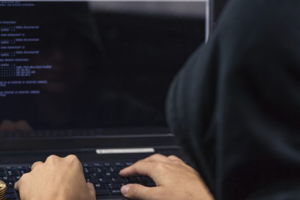 video hackerul care a vizat nato onu si armata sua arestat dupa zeci de atacuri cibernetice el ar fi vandut datele pe internet 67a46db343b54