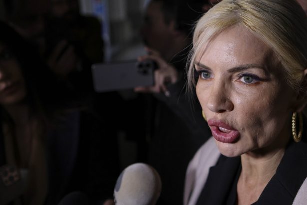 video laura vicol declaratii la curtea de apel nu am facut denunturi mi s a pus stampila si eticheta de nordis 67a3773054807