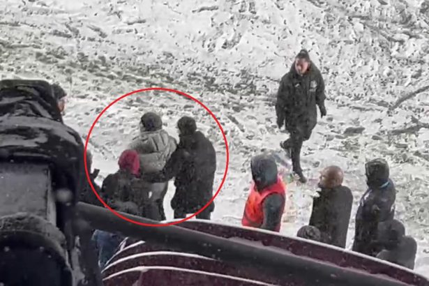 video marius sumudica asaltat cu bulgari de zapada pe giulesti ce gest extrem voia sa faca antrenorul 67b3886a7bb90