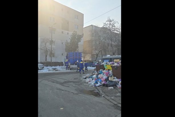 video ploiestiul e sufocat de gunoaie nu s au mai ridicat deseuri de sase zile primarul cere guvernului sa instituie starea de alerta 67bb40592d82b