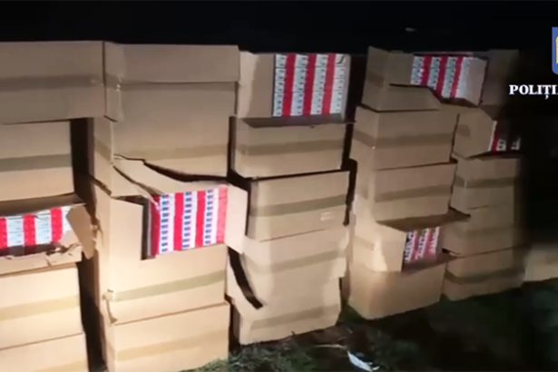 video traficantii nu mai au limite pastile louis vuitton roz tigari de contrabanda toate garnisite cu iarba de calitate 67bf444909663
