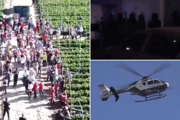 video zeci de romani sclavi pe o plantatie din spania au fost exploatati de alti romani pana cand au fost eliberati de politie 67a5b10fcb806