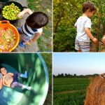 Mii de români au migrat de la oraș la sat. Povestea unei familii care a renunțat la Capitală pentru o casă la țară. „E așa fain să ai peticul tău” 3 videofoto mii de romani au migrat de la oras la sat povestea unei familii care a dat capitala pe o casa la tara e asa fain sa ai peticul tau 679e118e03d1c