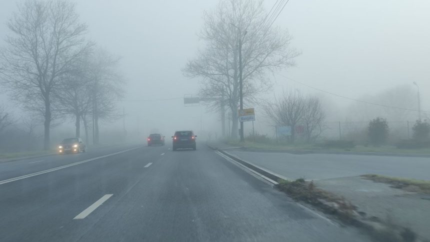 Vreme rece, ploi și ceață în Dobrogea: Temperaturile scad la 10 grade Celsius la finalul săptămânii viitoare 1 vreme rece ploi si ceata in dobrogea temperaturile ajung la 10 grade celsius la finalul saptamanii viitoare 67c0aae234170