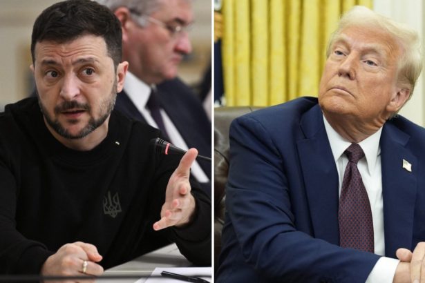 zelenski spune ca ucraina va da la schimb metale rare pentru arme americane asteptam echipa din sua 67a28501f0e35