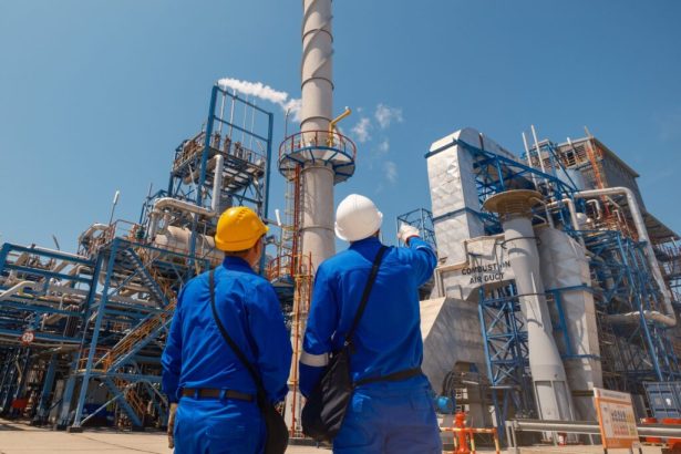 24 de elevi din constanta in practica pe platforma petromidia 67d2e0bad8e30