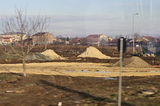 administratia locala vrea sa acceseze fonduri europene pentru proiectul perdea verde 67c63d61e9f0d