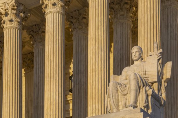 administratia trump cere curtii supreme sa blocheze hotararea care repune in functie mii de angajati federali concediati 67e19b5ac8df5