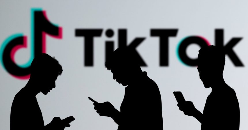 albania interzice oficial tiktok timp de un an furnizorii de internet sunt obligati sa blocheze accesul la aplicatia chineza 67d18b358bea6