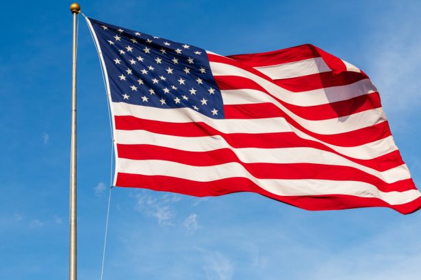 aproape 70 000 de sud africani albi vor sa profite de oferta lui trump si sa se mute in sua 67dc6a70a7226