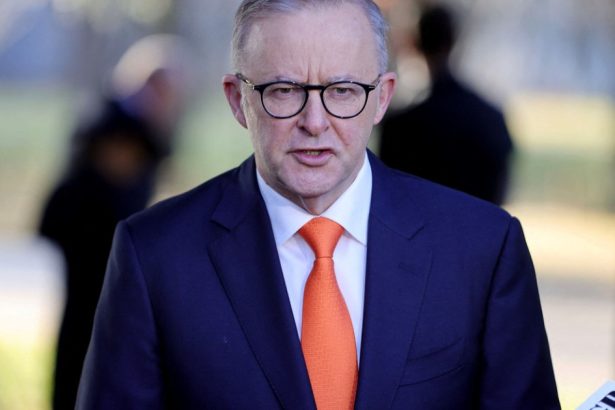 australia intentioneaza sa contribuie la o coalitie internationala pentru mentinerea pacii in ucraina 67cc5ce55b478