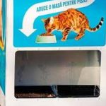 automatele care elibereaza mancare pentru pisici in schimbul reciclarii au asigurat 2 000 de portii de hrana in doua luni 67df96c5d4088