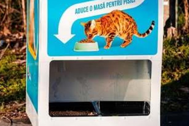 automatele care elibereaza mancare pentru pisici in schimbul reciclarii au asigurat 2 000 de portii de hrana in doua luni 67df96c5d4088