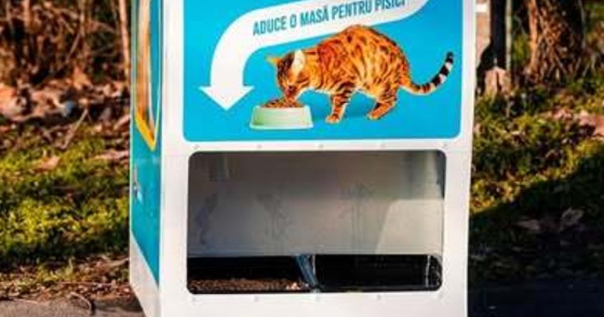 Automatele care oferă mâncare pentru pisici în schimbul reciclării au asigurat 2.000 de porţii de hrană în două luni 1 automatele care elibereaza mancare pentru pisici in schimbul reciclarii au asigurat 2 000 de portii de hrana in doua luni 67df96c5d4088