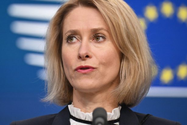 avertismentul sefei diplomatiei europene loviturile israeliene asupra libanului si siriei pot duce la o noua escaladare in regiune 67e15561910b9