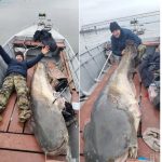 captura record un barbat din medgidia a prins un somn de aproape trei metri in dunare 67c42ee4befca