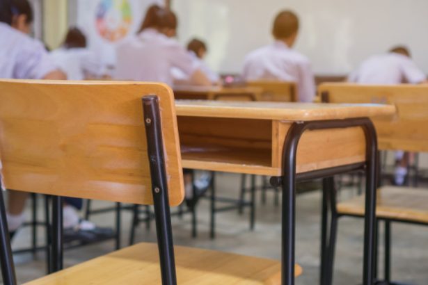 ce isi doresc copiii de la sate pentru o educatie mai buna propunerile primite de ministrul david 67dc7c1dddb46