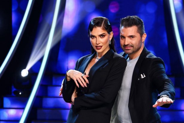 ce se intampla la te cunosc de undeva in cea de a patra gala anuntul facut de pepe si alina puscas 67caee15f3938