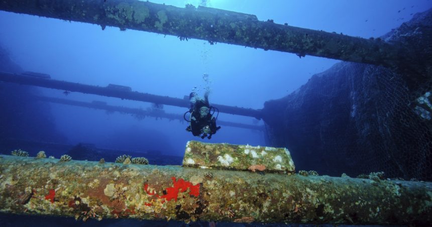 china a dezvoltat un robot capabil sa taie cabluri submarine e eficient impotriva cablurilor blindate pana la 4 000m adancime 67e16dd85abd3
