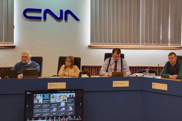 cna solicita inchiderea unor conturi de tiktok cine a fost luat in vizor 67da6e4a13585