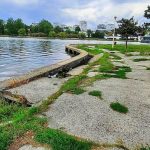 contractul de peste 5 milioane de euro pentru reabilitarea malurilor lacului tabacarie nu a fost atribuit nici acum 67ce1f33329e6
