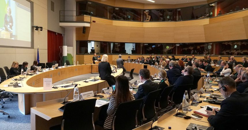 cu ce se ocupa curtea de conturi europeana institutia unde lucian romascanu a fost propus de romania 67daaca15b129