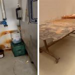 cui apartine sc gnf bakery products srl a carei activitate a fost oprita de protectia consumatorilor constanta in 2023 firma a rulat afaceri de 5 milioane de euro 67d474fd8b652