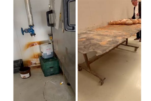 cui apartine sc gnf bakery products srl a carei activitate a fost oprita de protectia consumatorilor constanta in 2023 firma a rulat afaceri de 5 milioane de euro 67d474fd8b652