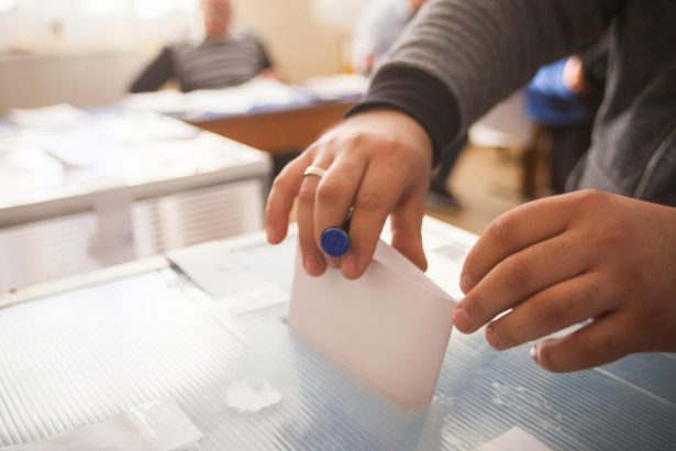 cum vor arata buletinele de vot pentru primul tur la alegerile prezidentiale pe ce pozitii sunt simion antonescu dan si lasconi 67e18de484308