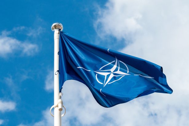 cutremurul declansat de donald trump pune in pericol schimbul de informatii din cadrul nato de ce se tem aliatii 67c9b9c0b3986