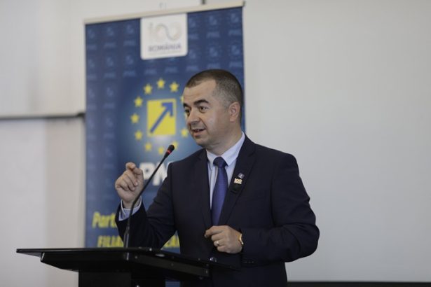 document ce pedeapsa ar putea primi azi stefan ilie primarul din tulcea care a facut acord de recunoastere a vinovatiei cu dna constanta 67c684a2af658
