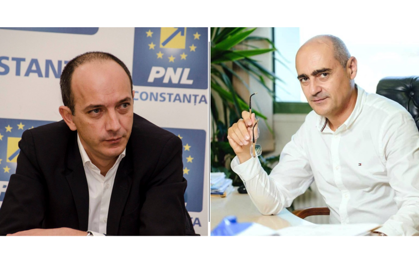 doi fosti lideri ai pnl constanta isi unesc fortele in afaceri boroianu si muhscina au mai infiintat o firma 67c68f2db102a