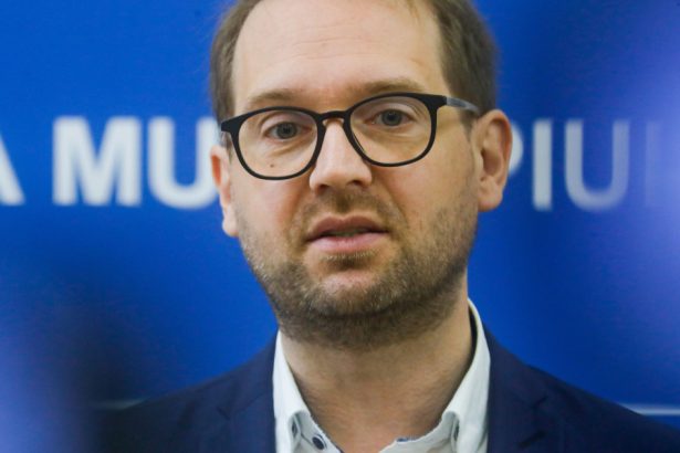 dominic fritz despre candidatura elenei lasconi nicusor dan a pus partidul in fata unui fapt implinit 67ceee614c7aa