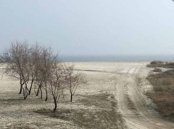 doua terenuri de 35 hectare din corbu detinute de elcomex aqua srl scoase la licitatie 67e8c49042fb0