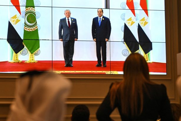 egiptul a prezentat la summitul extraordinar de la cairo un plan pentru a reconstrui fasia gaza ce propun liderii arabi 67c72f4c7a962