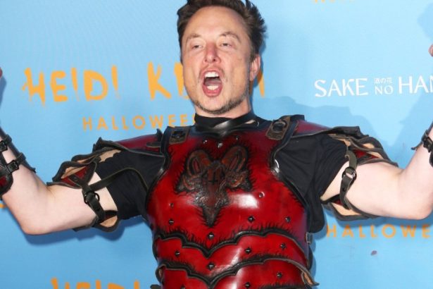 elon musk vrea sa salveze civilizatia occidentala de empatie se vede pe sine ca pe un supererou care isi asuma riscuri 67ca7ea21a0e8