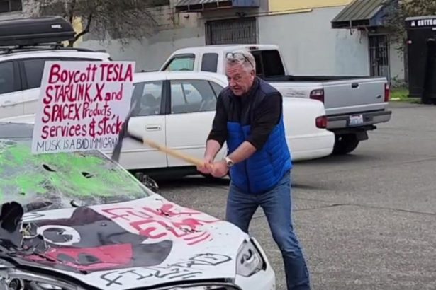 fbi sare in ajutorul lui elon musk agentia a facut o divizie speciala care vizeaza terorismul intern anti tesla 67e28e21c6e24