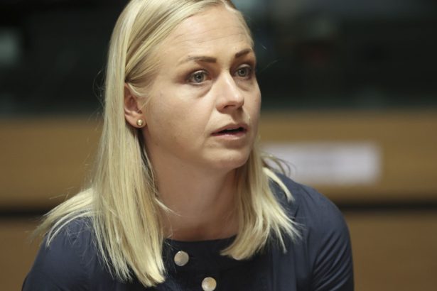 finlanda va face parte din coalitia bunavointei pentru ucraina a anuntat ministrul de externe de la helsinki 67d213628711b