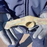 foto artefact mai vechi decat piramidele egiptene descoperit de un jandarm pasionat de istorie 67e113d0e6371