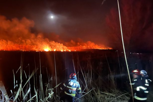 foto video pompierii tulceni in alerta in murighiol caraorman si dunavatul de jos mai multe incendii de vegetatie mistuie sute de hectare de vegetatie 67d5f7b64ab64
