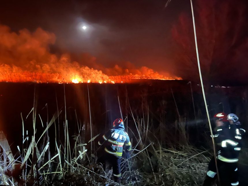 foto video pompierii tulceni in alerta in murighiol caraorman si dunavatul de jos mai multe incendii de vegetatie mistuie sute de hectare de vegetatie 67d5f7b64ab64