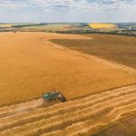 fratii paval isi consolideaza prezenta in agricultura au achizitionat terenuri agricole in tulcea si braila prin preluarea firmei dueci agro 67d8269c505c1